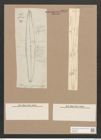 Pleurosigma rigidum W.Sm. (de-Toni-Nr.: Genus 13, Species 1013) Zeichnungen Sammlung Grunow Nr. 2076 (NHMW-BOT-W0368939)